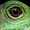 DivisProJo's Avatar