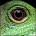DivisProJo's Avatar